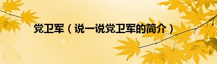 党卫军（说一说党卫军的简介）