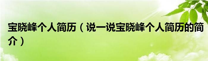 宝晓峰个人简历（说一说宝晓峰个人简历的简介）