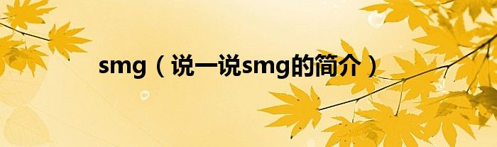 smg（说一说smg的简介）