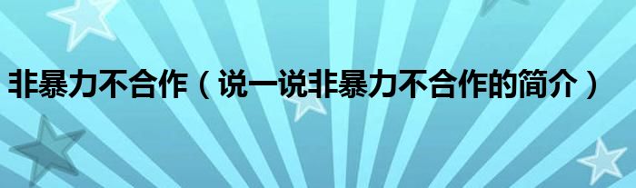 非暴力不合作（说一说非暴力不合作的简介）