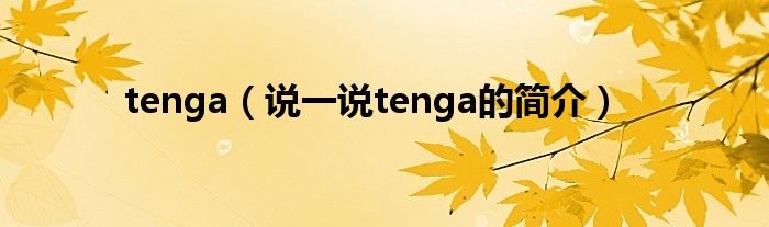 tenga（说一说tenga的简介）