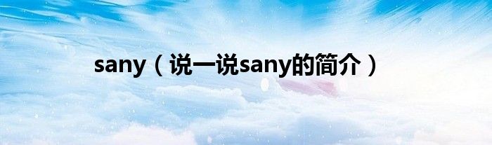 sany（说一说sany的简介）