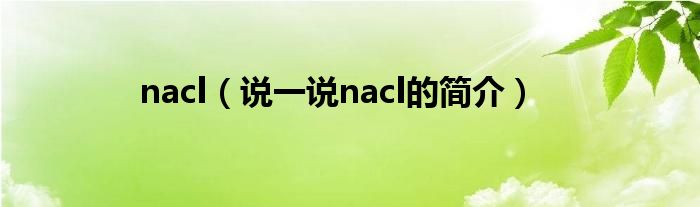 nacl（说一说nacl的简介）