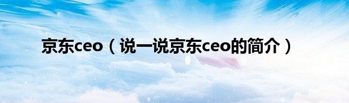 京东ceo（说一说京东ceo的简介）