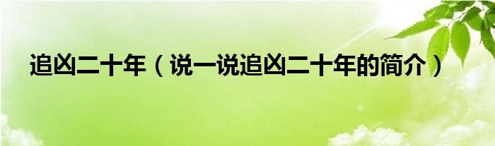 追凶二十年（说一说追凶二十年的简介）