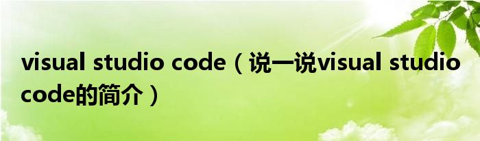 visual studio code（说一说visual studio code的简介）