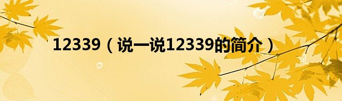 12339（说一说12339的简介）