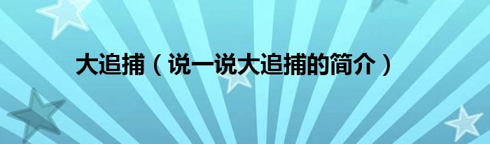 大追捕（说一说大追捕的简介）