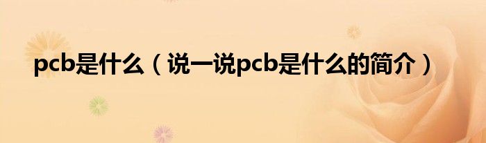 pcb是什么（说一说pcb是什么的简介）