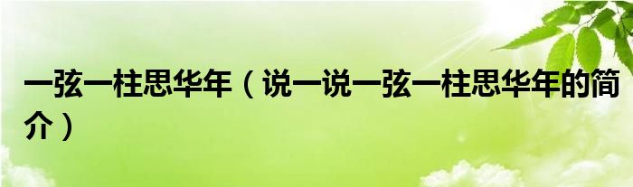 一弦一柱思华年（说一说一弦一柱思华年的简介）