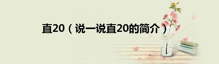 直20（说一说直20的简介）