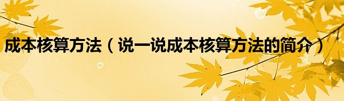 成本核算方法（说一说成本核算方法的简介）