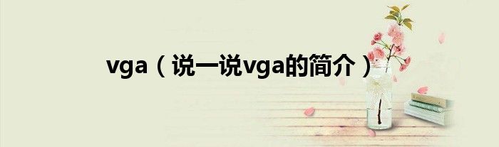 vga（说一说vga的简介）