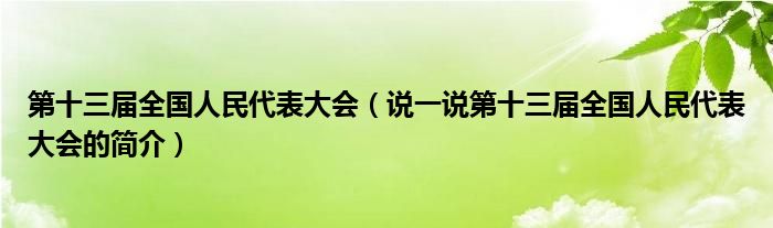 第十三届全国人民代表大会（说一说第十三届全国人民代表大会的简介）