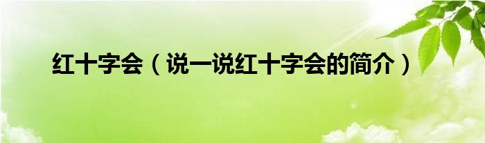 红十字会（说一说红十字会的简介）