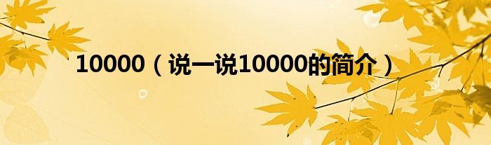 10000（说一说10000的简介）