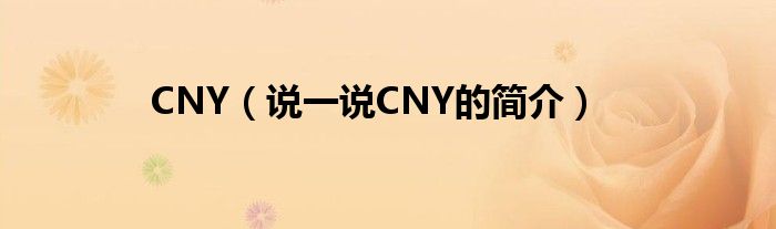 CNY（说一说CNY的简介）