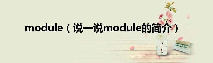 module（说一说module的简介）