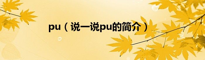 pu（说一说pu的简介）