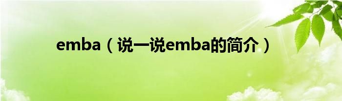 emba（说一说emba的简介）