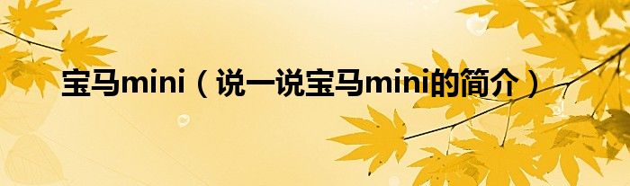 宝马mini（说一说宝马mini的简介）