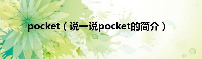 pocket（说一说pocket的简介）