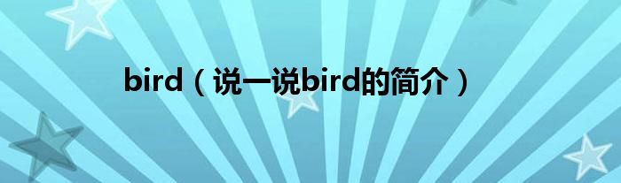 bird（说一说bird的简介）