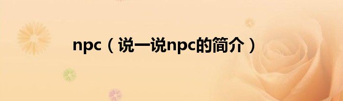 npc（说一说npc的简介）