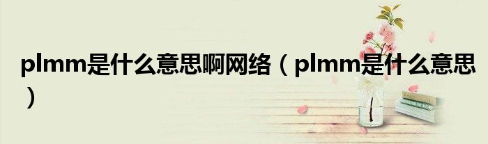 plmm是什么意思啊网络（plmm是什么意思）