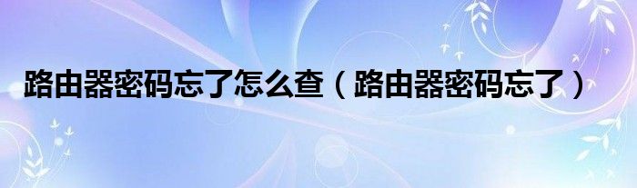 路由器密码忘了怎么查（路由器密码忘了）