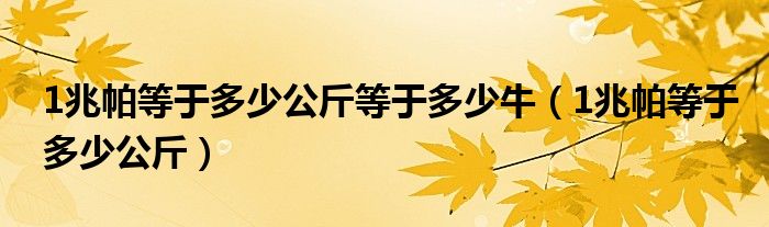 1兆帕等于多少公斤等于多少牛（1兆帕等于多少公斤）