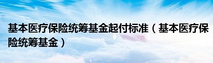 基本医疗保险统筹基金起付标准（基本医疗保险统筹基金）