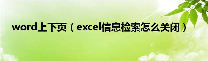 word上下页（excel信息检索怎么关闭）