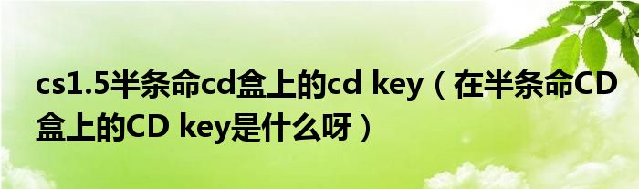 cs1.5半条命cd盒上的cd key（在半条命CD盒上的CD key是什么呀）