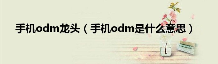 手机odm龙头（手机odm是什么意思）