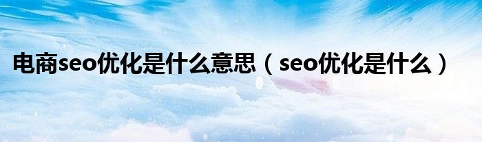 电商seo优化是什么意思（seo优化是什么）