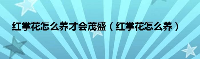 红掌花怎么养才会茂盛（红掌花怎么养）