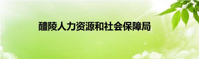 醴陵人力资源和社会保障局