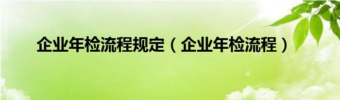 企业年检流程规定（企业年检流程）