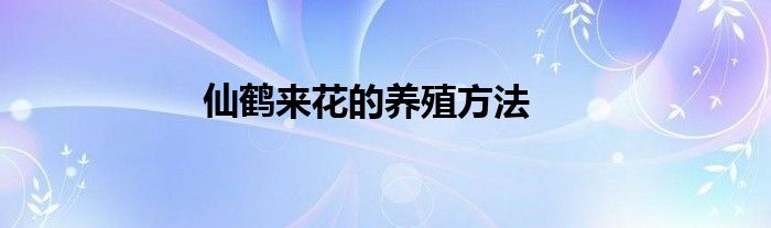 仙鹤来花的养殖方法