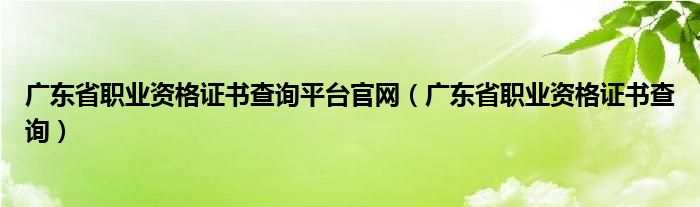 广东省职业资格证书查询平台官网（广东省职业资格证书查询）