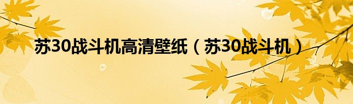 苏30战斗机高清壁纸（苏30战斗机）