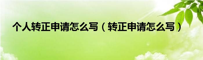 个人转正申请怎么写（转正申请怎么写）