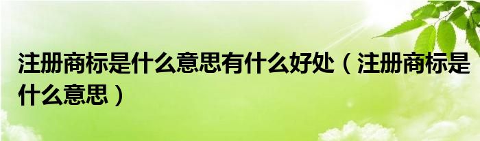 注册商标是什么意思有什么好处（注册商标是什么意思）