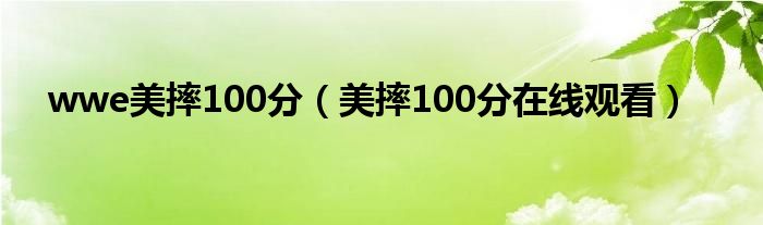 wwe美摔100分（美摔100分在线观看）