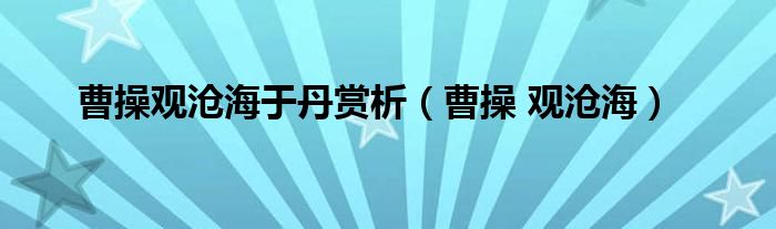 曹操观沧海于丹赏析（曹操 观沧海）