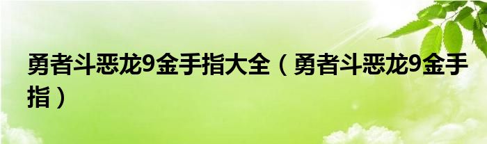 勇者斗恶龙9金手指大全（勇者斗恶龙9金手指）