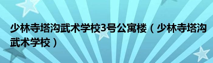 少林寺塔沟武术学校3号公寓楼（少林寺塔沟武术学校）