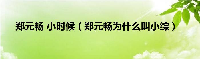 郑元畅 小时候（郑元畅为什么叫小综）