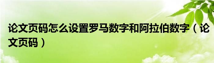 论文页码怎么设置罗马数字和阿拉伯数字（论文页码）